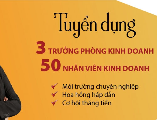 Vimefulland – Cơ hội tốt, việc làm hay, ứng tuyển ngay tháng 3/2019